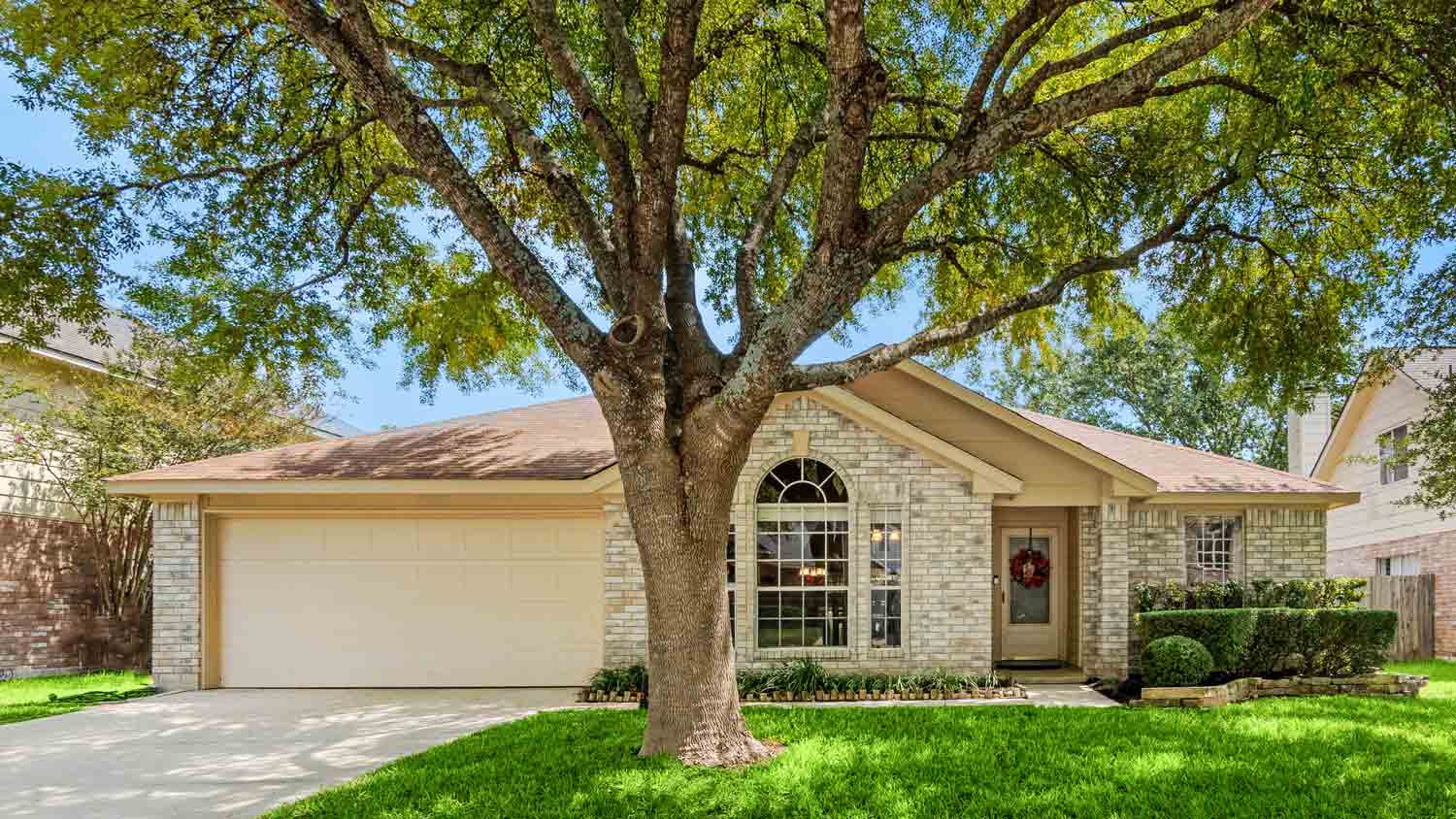 tree in front of house