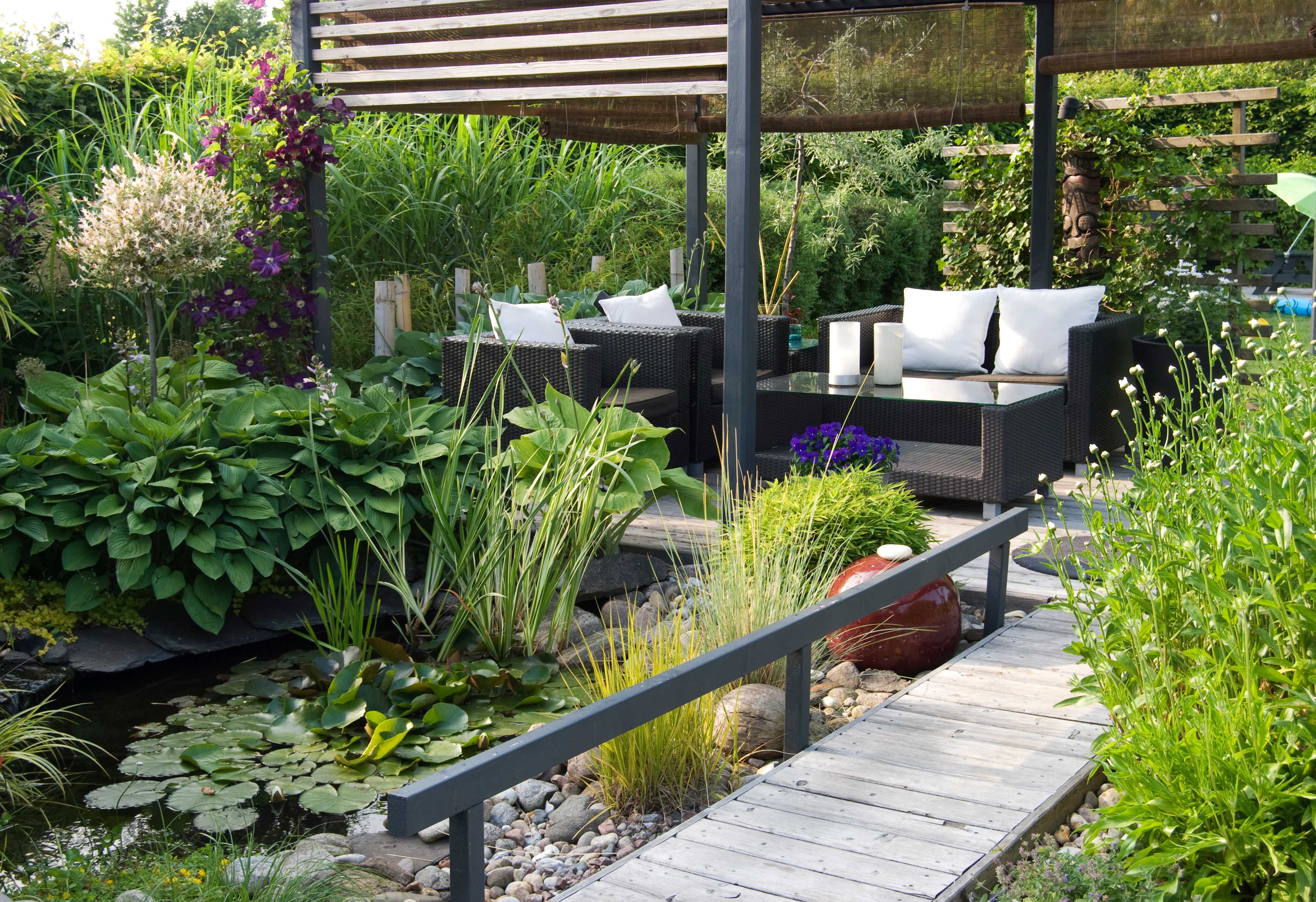 A modern patio with a pond and outdoor sofas, showcasing a landscape designer's work blending nature and sleek design