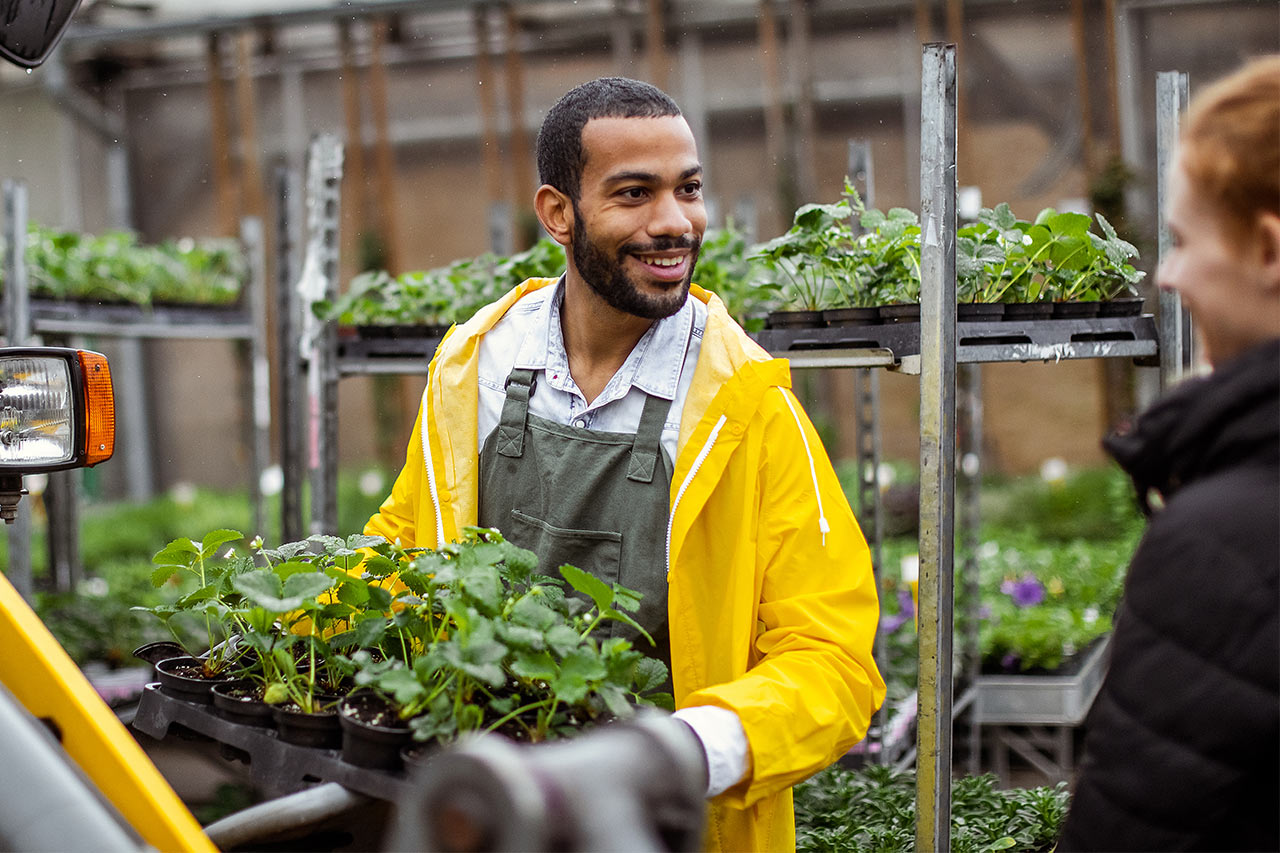 Landscaper at garden center with plants