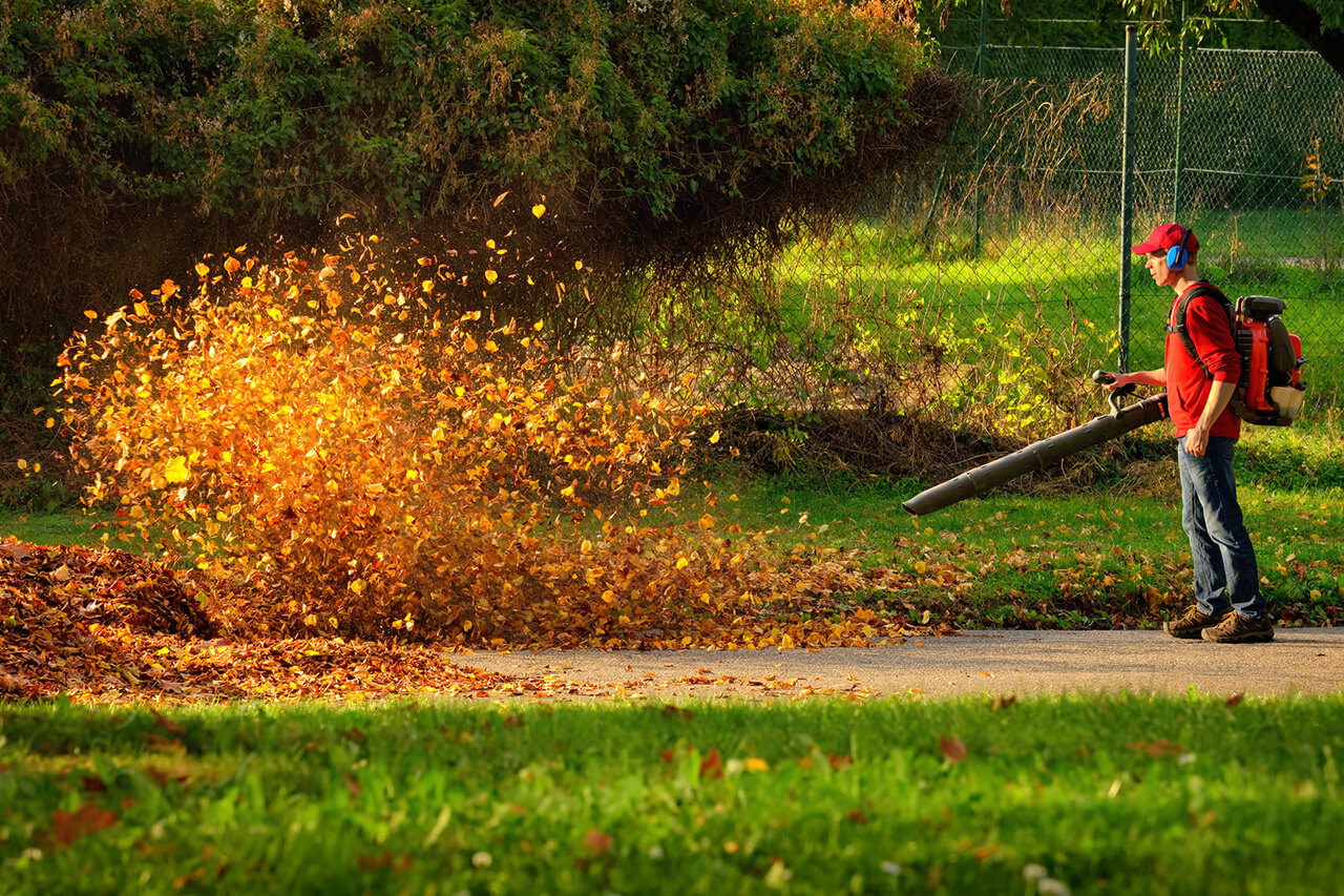 professional using heavy duty leaf blower to remove leaves