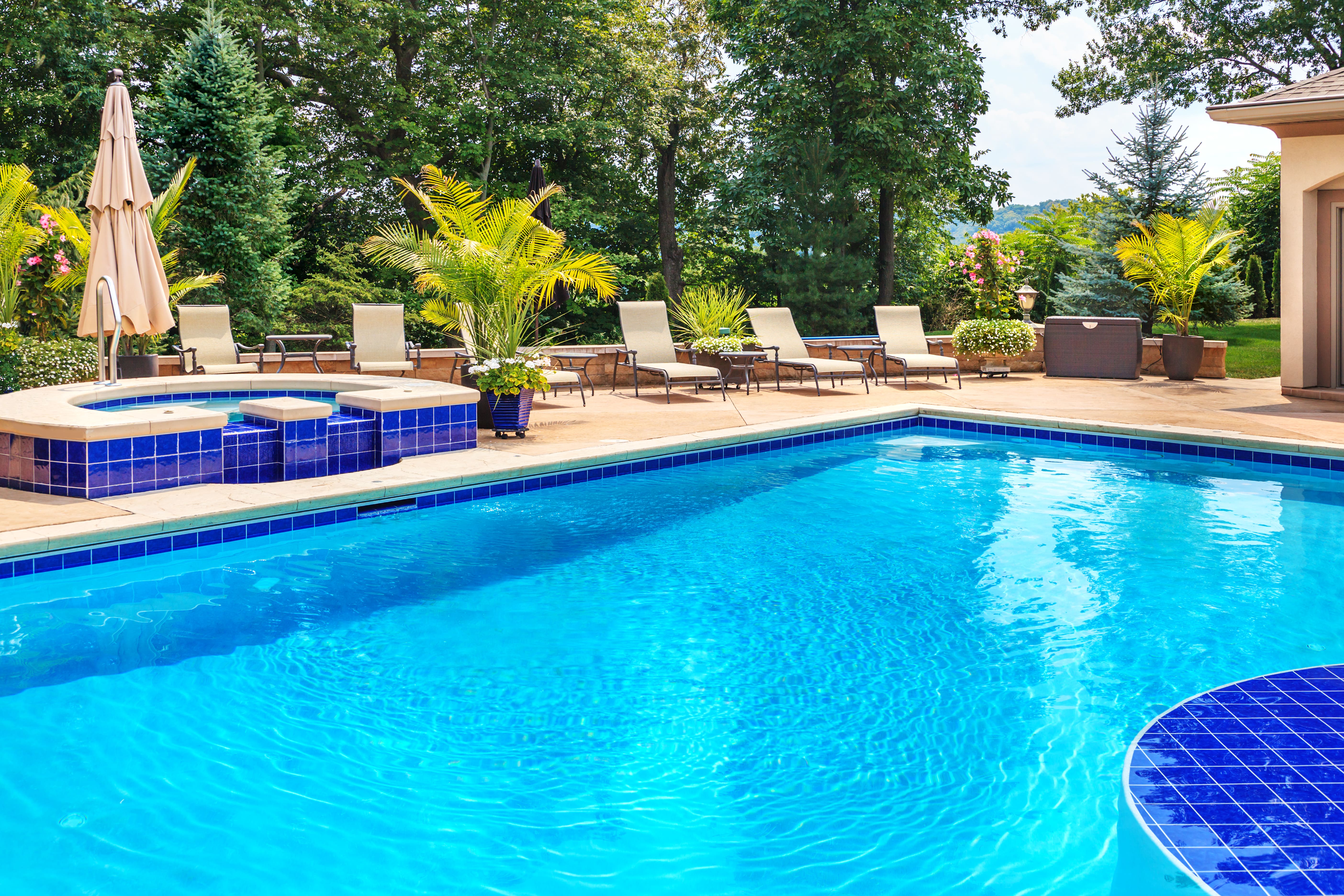 Remodeled swimming pool in a luxurious backyard setting, featuring elegant design and tranquil ambiance