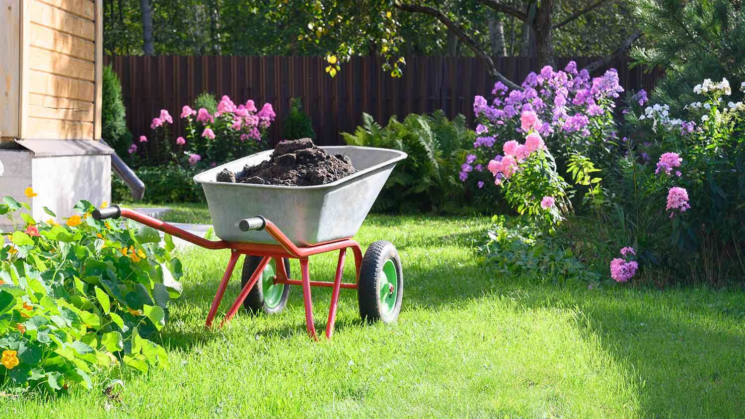 Wheelbarrow filled with topsoil in the yard